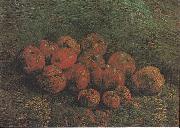 Vincent Van Gogh Still Life with Apples oil on canvas